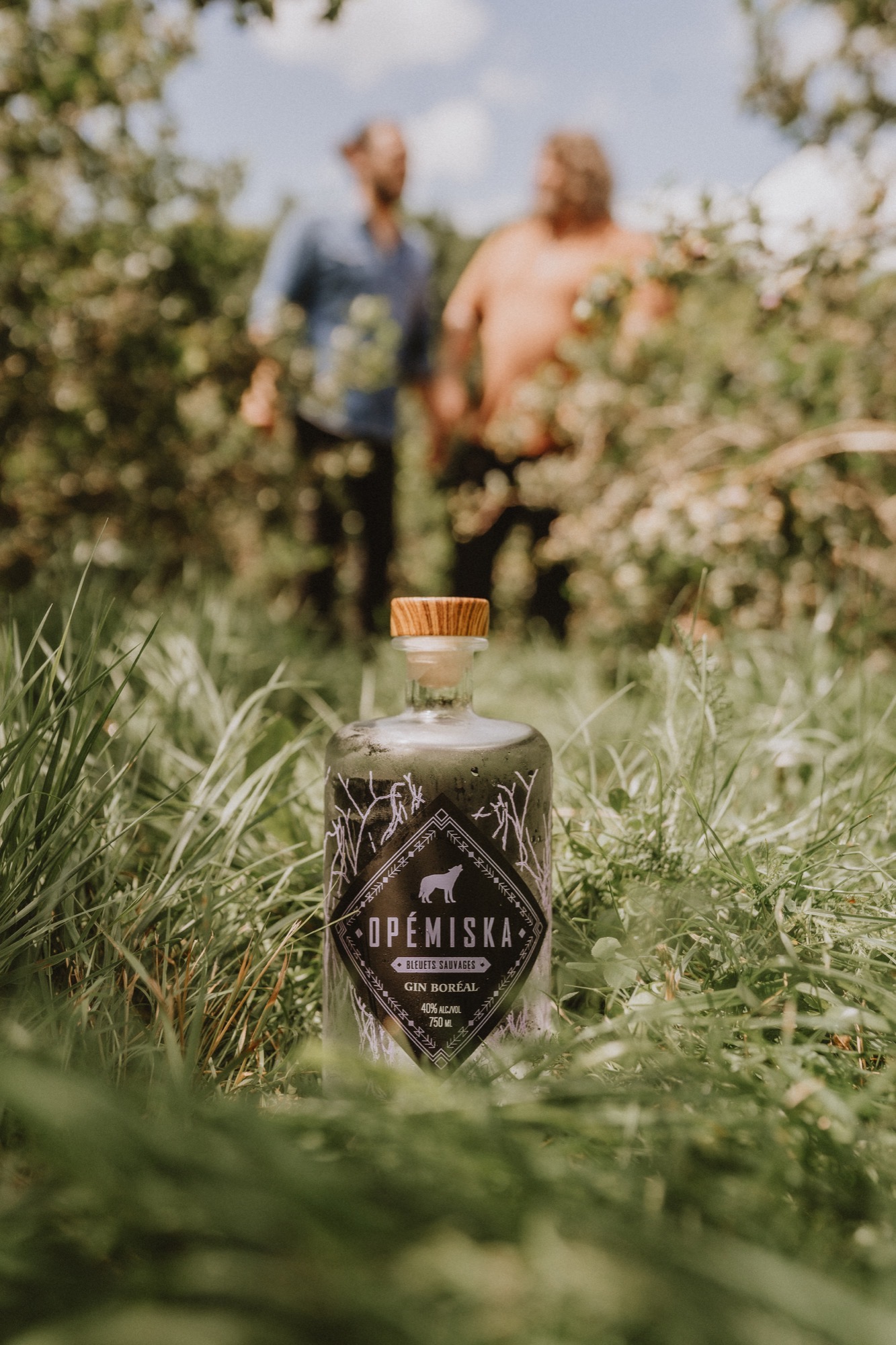 The world of Opémiska Wild Blueberry Gin