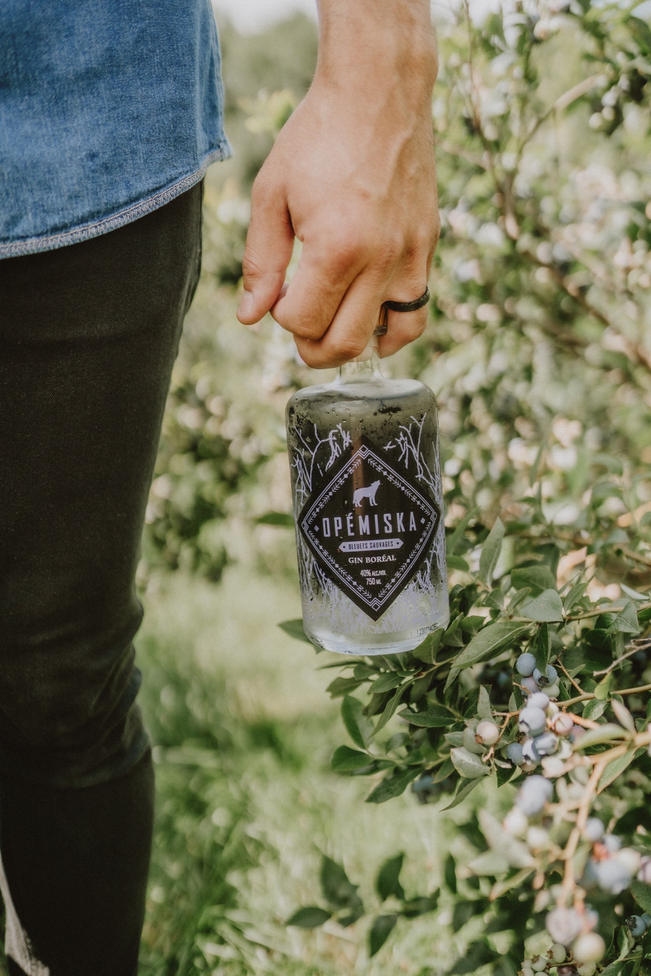 In a cocktail — Opémiska Wild Blueberry Gin