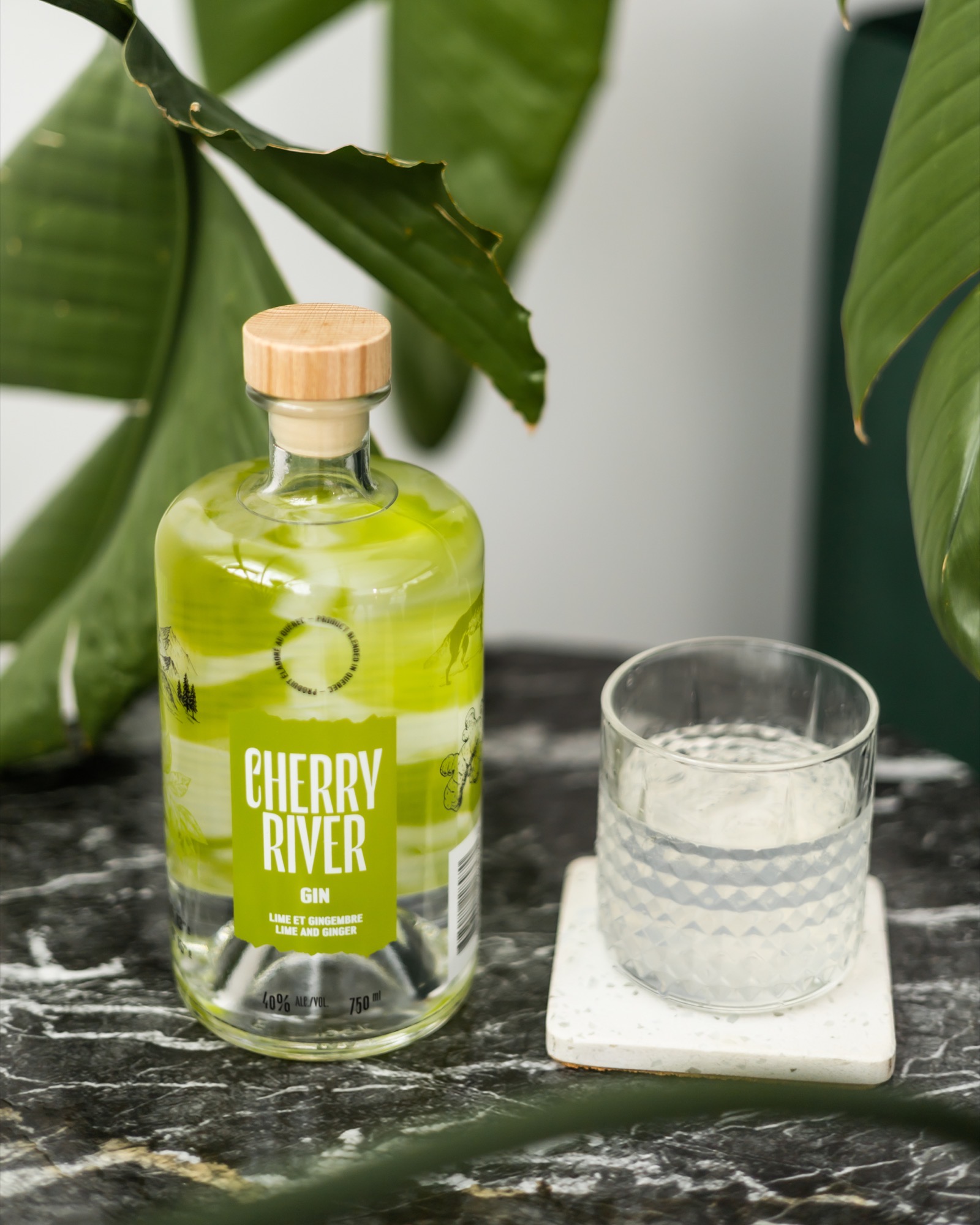 The world of Gin Lime & Gingembre